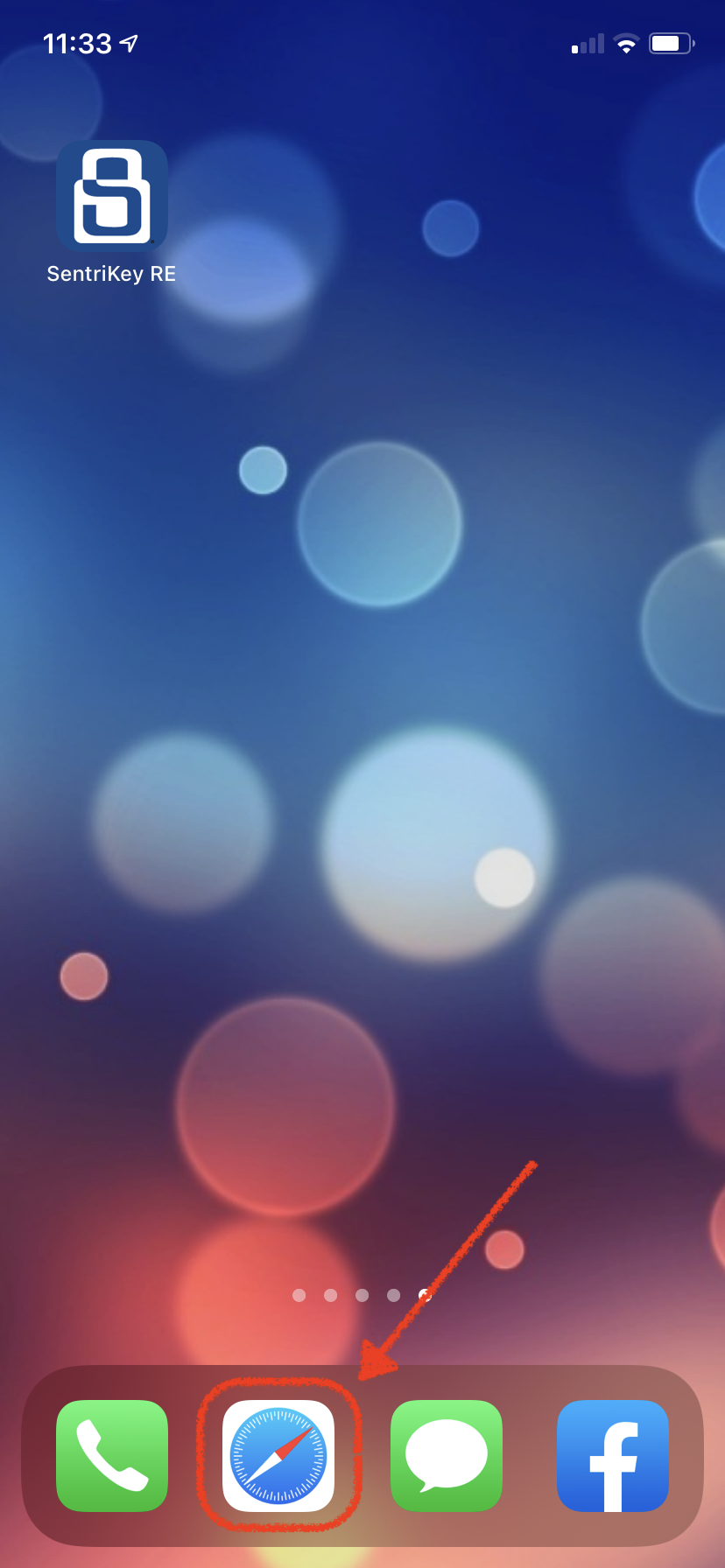 IMG_2095.PNG
